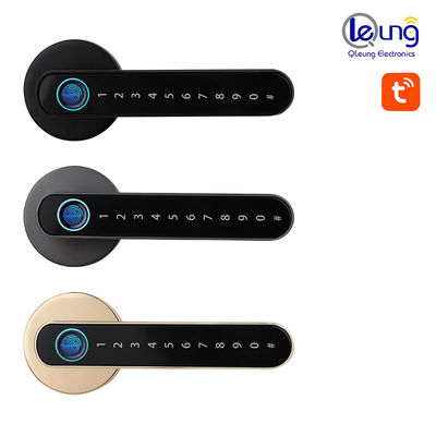 BLE Smart Fingerprint Locks Tuya App TTlock Fingerprint Door Lock For Bedroom