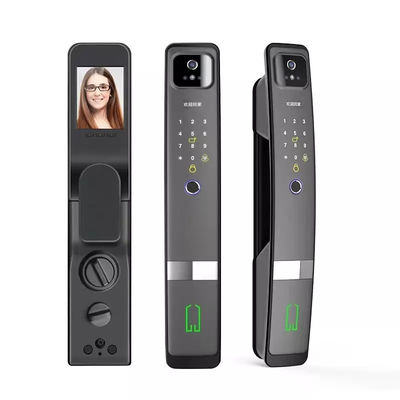 Grey 9 Languages Smart Face Lock Fingerprint Face Id Door Lock
