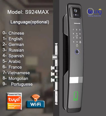Grey 9 Languages Smart Face Lock Fingerprint Face Id Door Lock