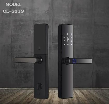 Smart Home Door Lock Zinc Alloy S819 Fingerprint Door Lock 8 Language Tuya Door Lock Wifi TTlock
