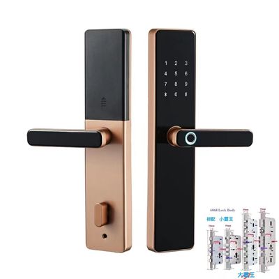 6068 Mortise TTlock Wifi Tuya Door Lock With Fingerprint And Password