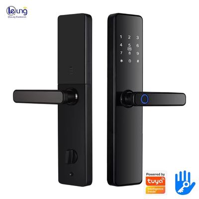 6068 Mortise TTlock Wifi Tuya Door Lock With Fingerprint And Password