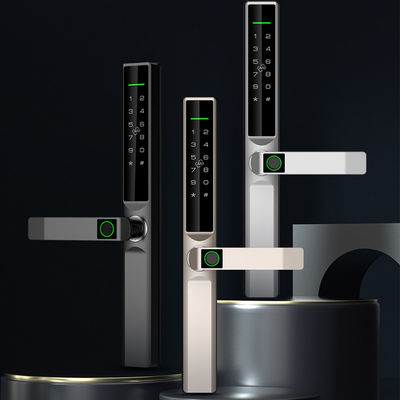 Tuya TTlock Sliding Door Lock Outdoor IP65 Unlock By Fingerprint Code Key Card