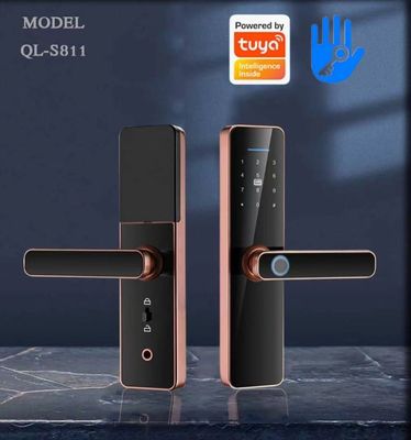 S811 Fingerprint Door Lock Fingerprint And Code Door Lock For Home Hotel