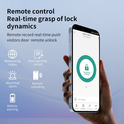 Luxury Face Id Door Lock CNC Aluminum Wifi Door Lock For Apartment