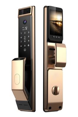 Champagne Gold Face Recognition Door Lock Intelligent For Office Hotel