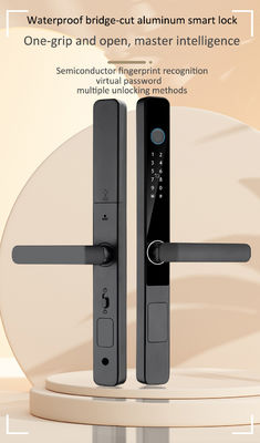 Zinc Alloy Camera Smart Lock Tuya Ring Camera Door Lock CE Approval