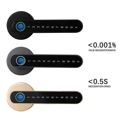 Color Optional Doorlock Smart Home Locks Tuya BLE App