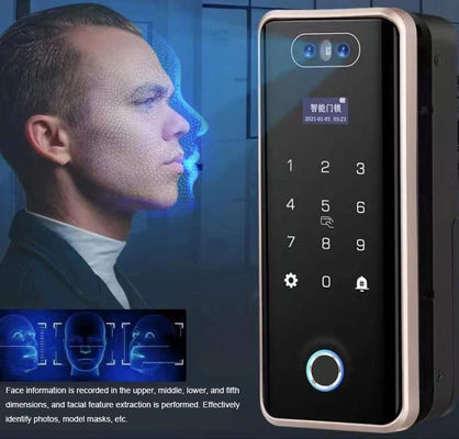 Villa Face Id Smart Lock ROHS Automatic Door Lock For Apartment