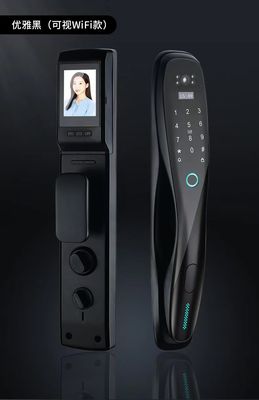 Qleung S928MAX Fully Automatic Usmart Go Wifi Remote Control Doorlock Password Biometric Fingerprint Smart Door Lock