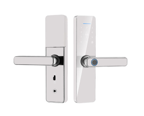 Qleung S811 High Quality Smart Digital Fingerprint Door Lock Tuya Wifi TTlock Remote Control Smart Home Door Lock