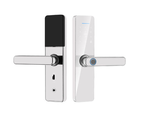 Qleung S811 High Quality Smart Digital Fingerprint Door Lock Tuya Wifi TTlock Remote Control Smart Home Door Lock