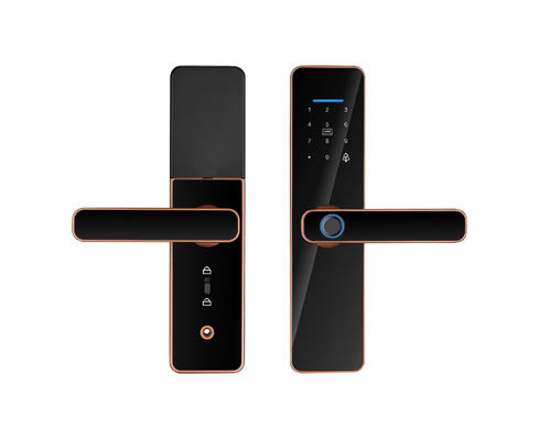 Qleung S811 High Quality Smart Digital Fingerprint Door Lock Tuya Wifi TTlock Remote Control Smart Home Door Lock