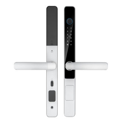Digital Outside IP65 Waterproof Fingerprint Password Card With Tuya TTlock App Remote Unlock Smart Home Door Lock