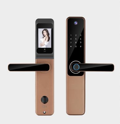 Qleung Tuya Wifi App Camera Locks Biometric Fingerprint Recognition Code IC Card Key S802Pro Smart Home Door Lock