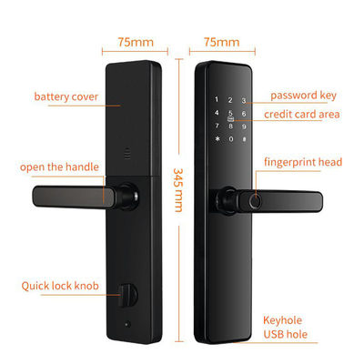 Qleung S819 Aluminum Door Fingerprint & WiFi Enabled Tuya TTlock With Password Key Card Smart Home Door Lock