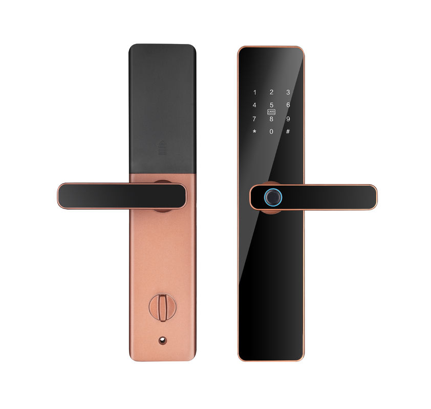 Office Biometric Fingerprint Password Key Card WIFI BLE Intelligent Door Lock Qleung S819