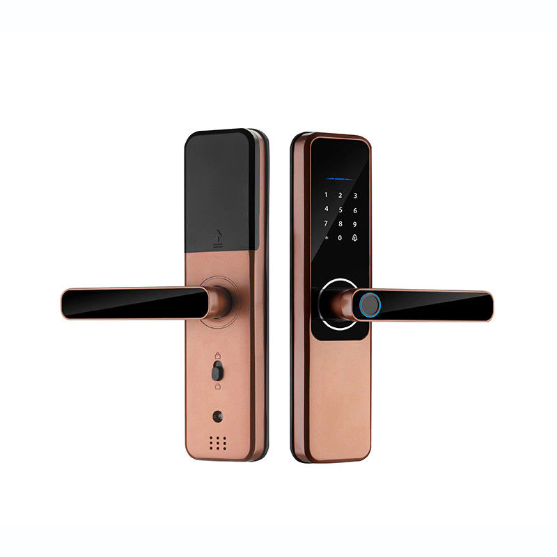 Unlock Method Tuya TTlock Password Fingerprint Smart Locks For Home