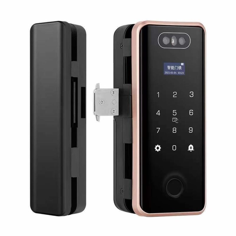 Glass Face Recognition Door Lock Fingerprint Password Tuya Wifi Lock For Office