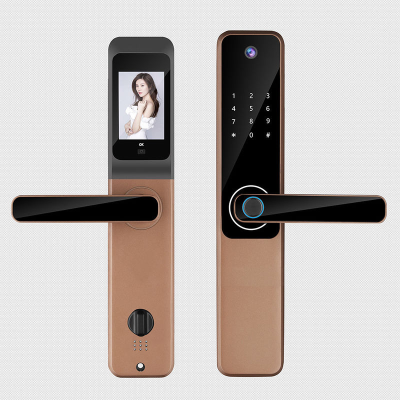 Cloud Storage Weather Proof Smart Lock Wireless Electronic Door Locks For Homes