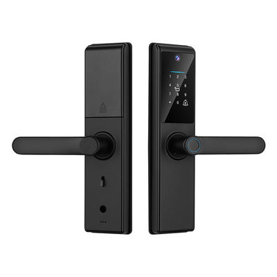 Qleung Tuya Wifi APP điều khiển từ xa dấu vân tay mã thẻ chìa khóa S821Max Smart Home Door Lock với camera