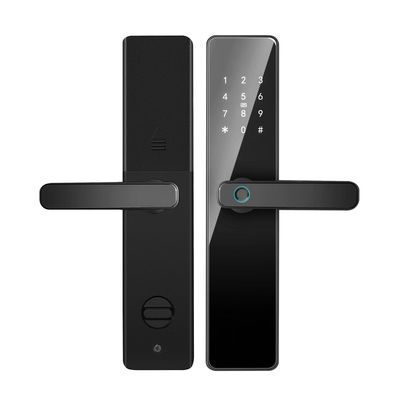 Qleung S819 cửa nhôm dấu vân tay & WiFi bật Tuya TTlock With Password Key Card Smart Home Door Lock