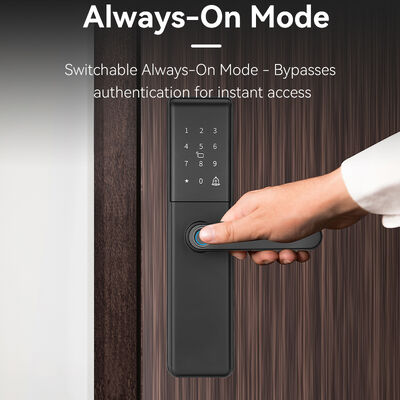 Qleung S851 Tuya Smart Door Lock với Cloud Data Storage Grade B Lock Cylinder và mạng Wi-Fi