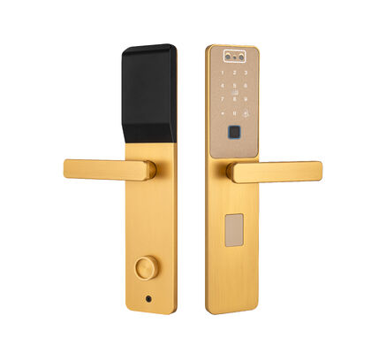 S869 Màu vàng CNC Slim Plate Face Recognition Palm Vein Unlock Tuya Door Lock